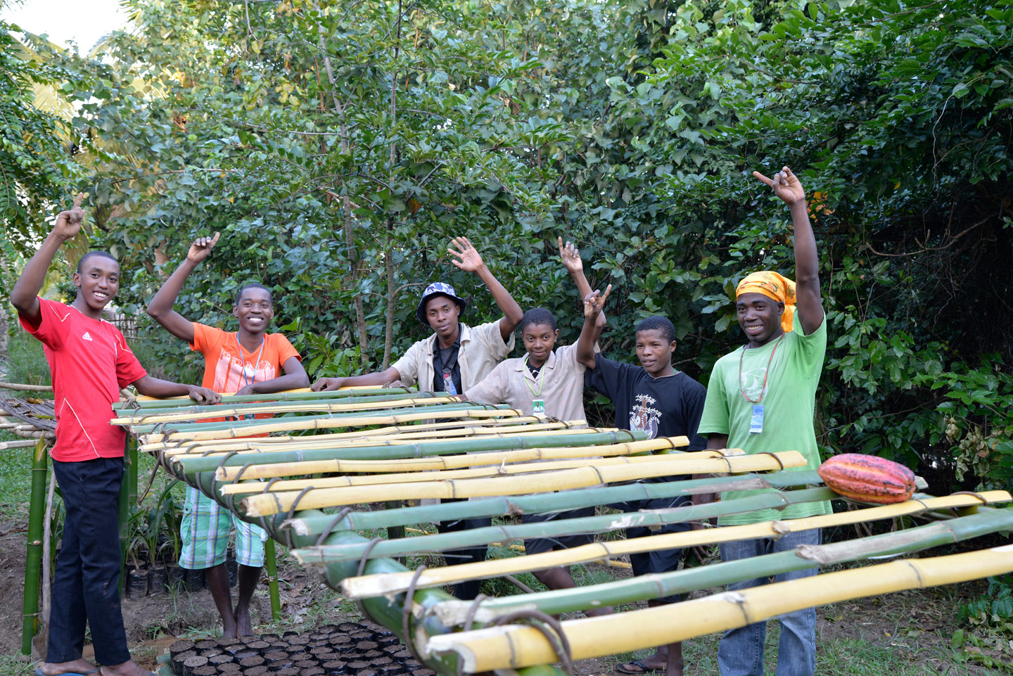 Makira Redd Madagascar Climate Impact Partners 