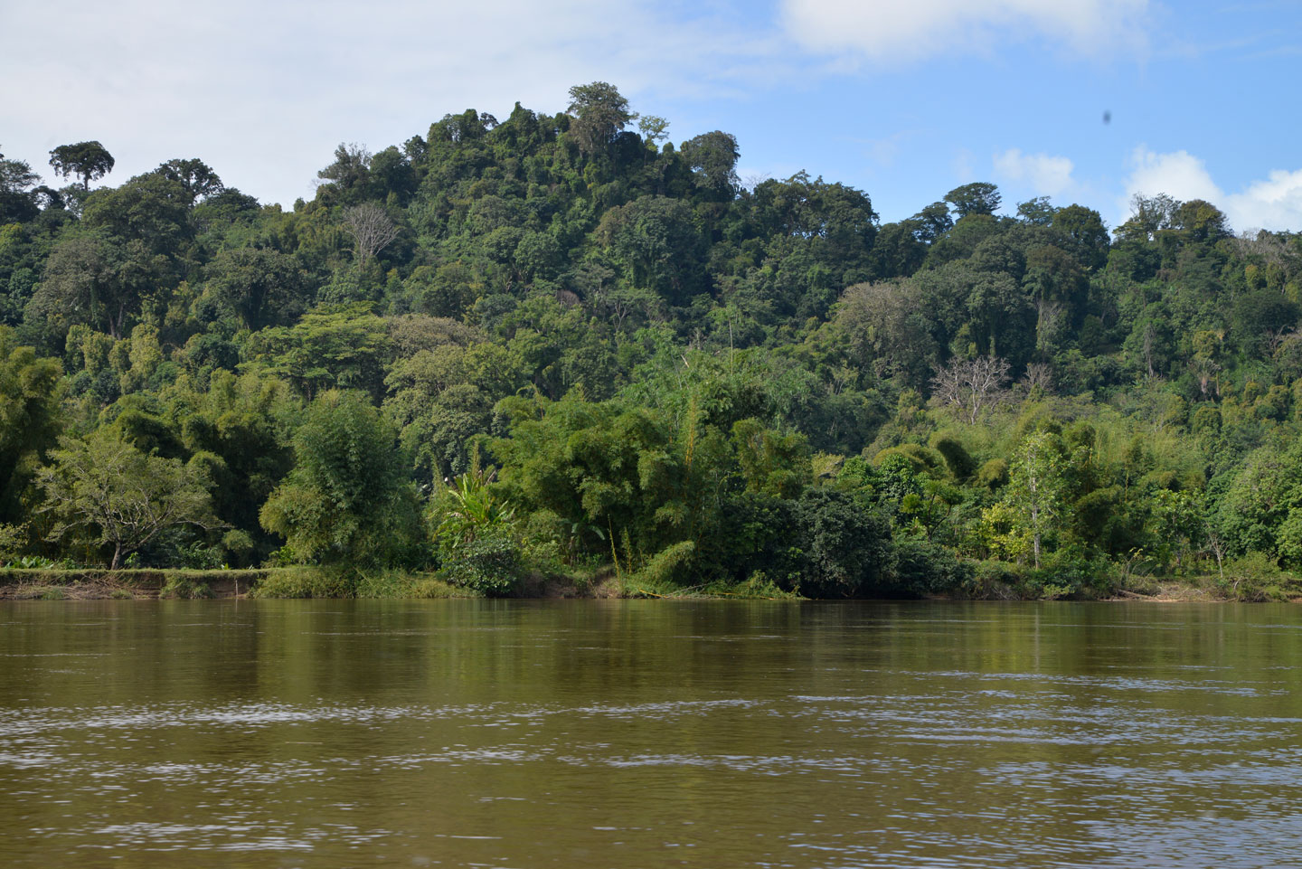 Makira Redd Madagascar Climate Impact Partners