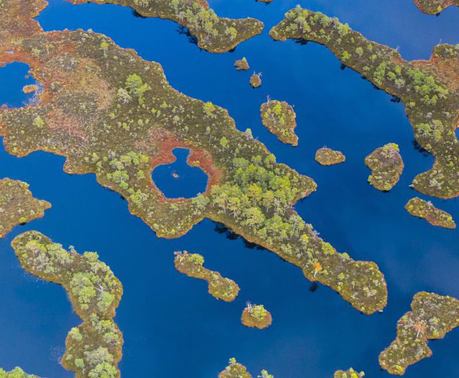 Protecting Peatland through Carbon Finance - critical in tackling Climate Change.