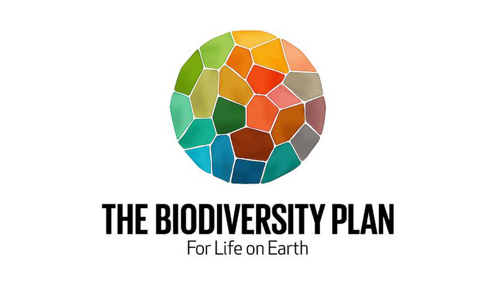 Save A Species: recovering trees from extinction | Climate Impact Partners
