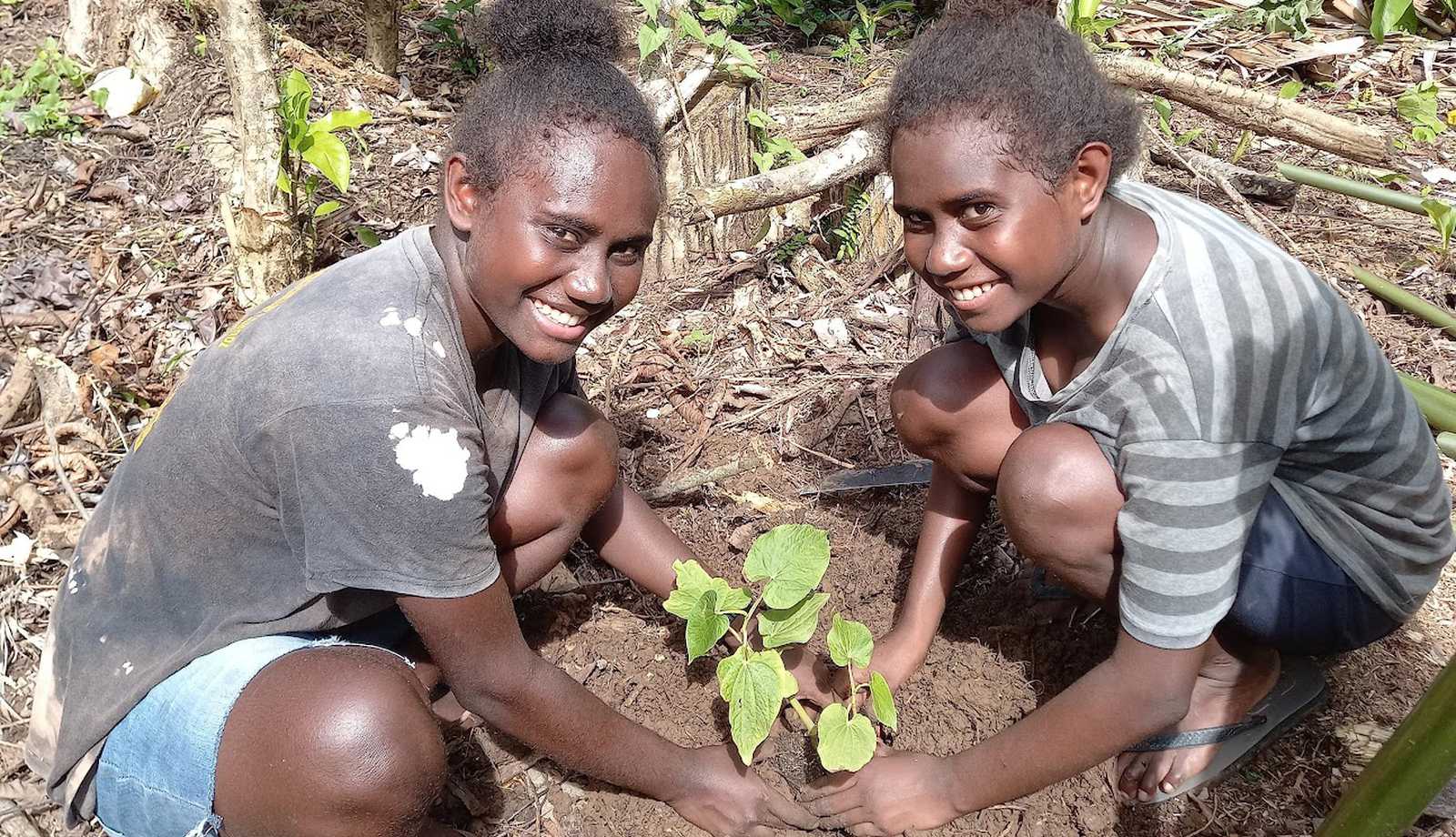 Babatana Rainforest, Solomon Islands | Climate Impact Partners