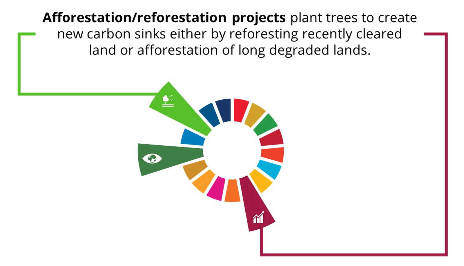 Nature Based Solutions | Climate Impact Partners