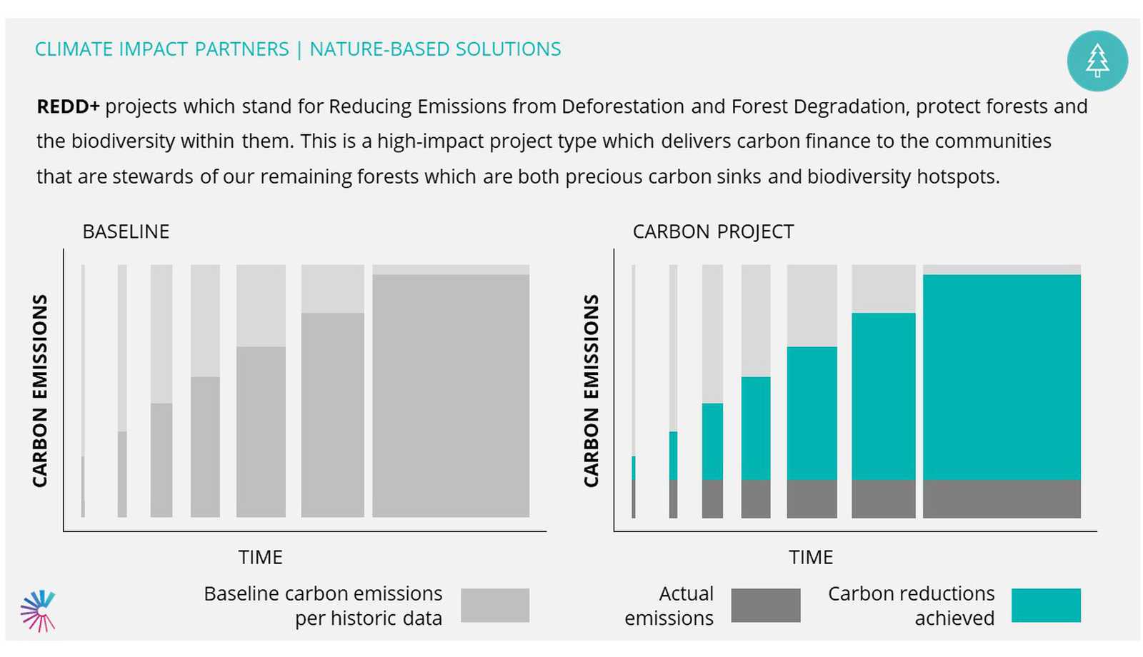 Nature Based Solutions | Climate Impact Partners
