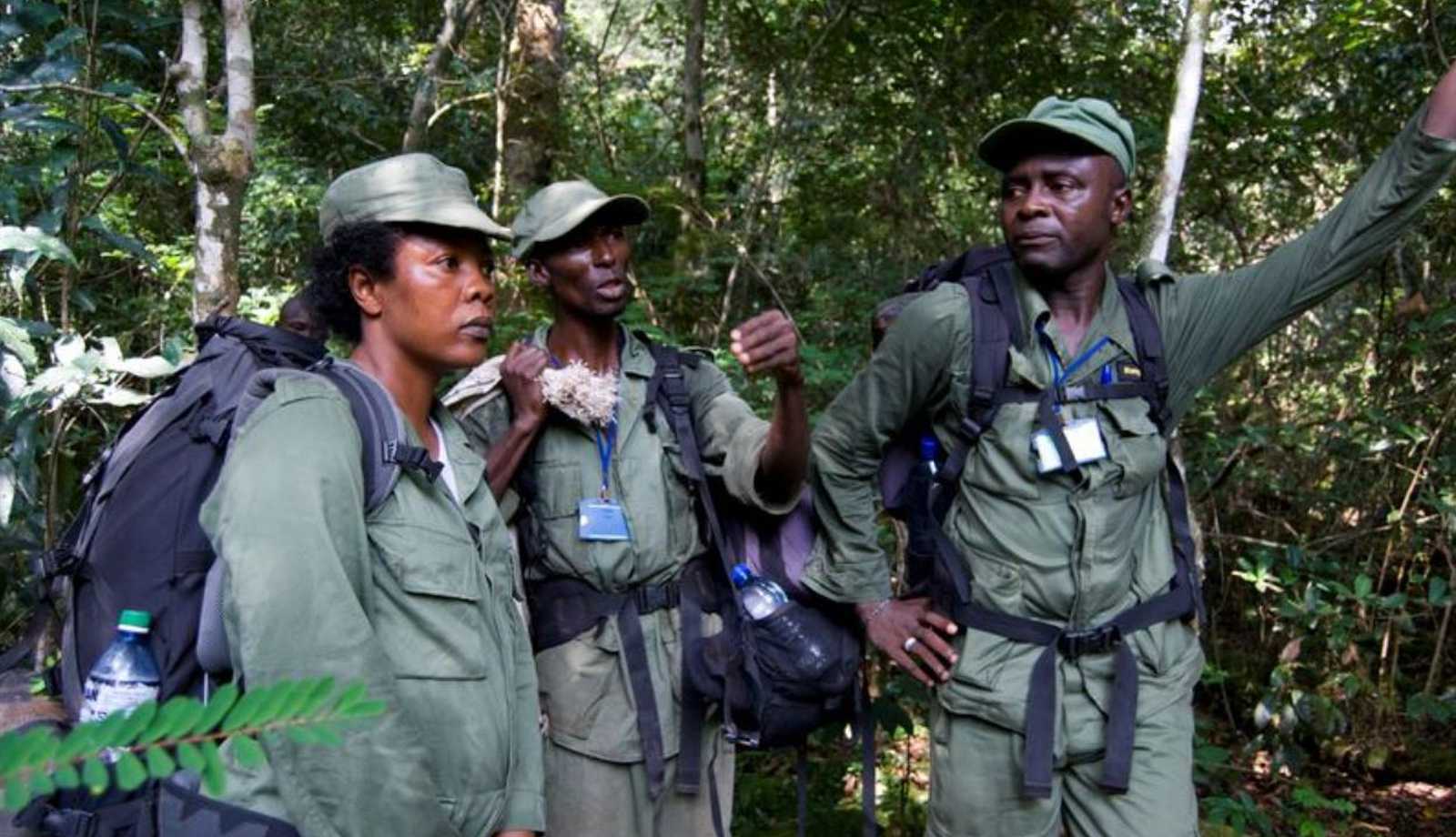 REDD+ Projects (Forest conservation) | Climate Impact Partners