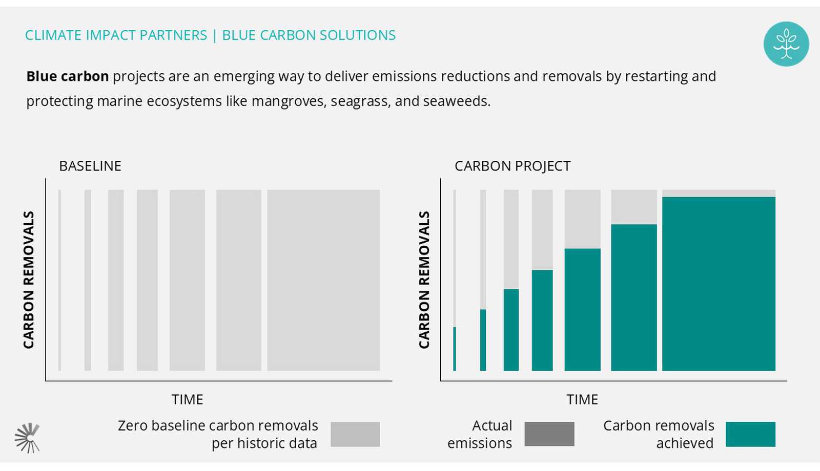 Nature Based Solutions | Climate Impact Partners