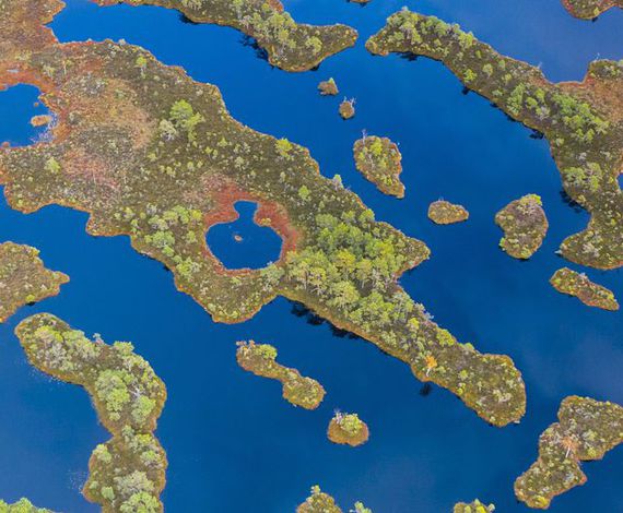 Protecting Peatland through Carbon Finance - critical in tackling Climate Change.